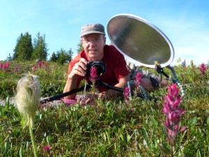Ian Wilson photographing flowers smalljpeg