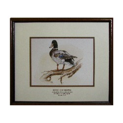 Ducks Unlimited framed picture of a duck as a recognition award